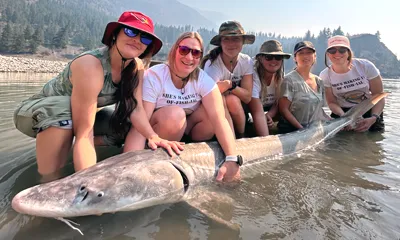 Book Your Sturgeon Fishing Trip